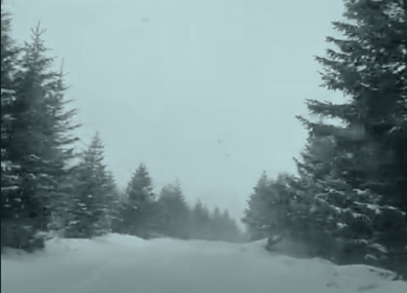 Atmosferă ca de Crăciun la munte, în prag de Paște. La Voineasa și în Munții Șureanu ninge, iar zăpada s-a așternut în strat gros (Video)