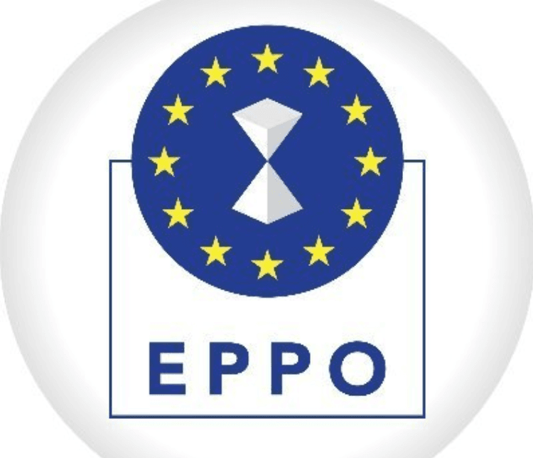 Primar din Bihor, prins în flagrant luând mită, de către procurori ai Parchetului European