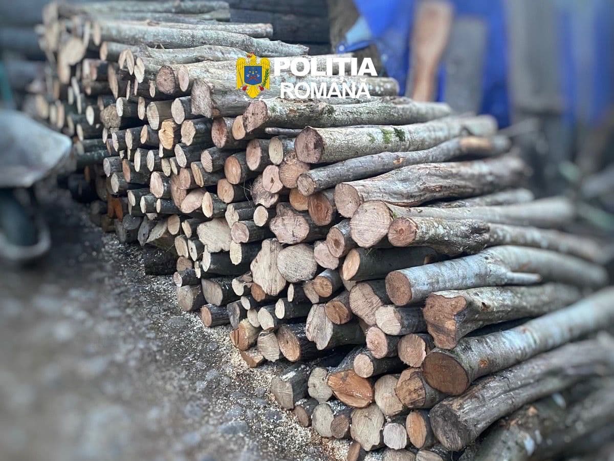 Peste 20 de percheziţii în două comune şi un oraş din Mureş, într-un dosar penal vizând infracţiuni silvice/ Două reţineri, şase mandate de aducere şi confiscări de lemne şi echipamente