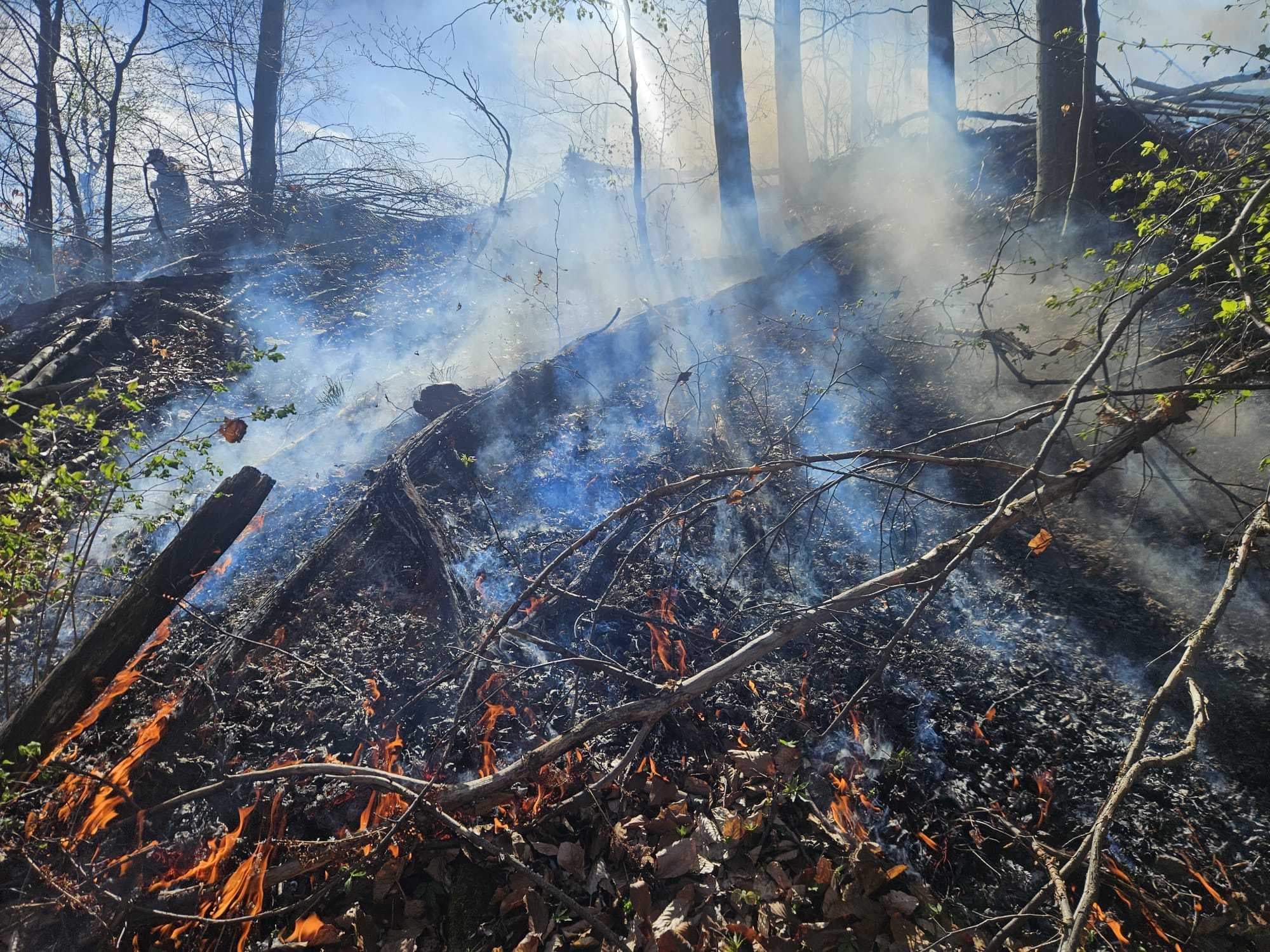 Incendiu de amploare în zona de munte a judeţului Cluj. Focul s-a extins pe o suprafaţă de peste 5 hectare, în apropiere de pădure / Intervenţia e dificilă din cauza terenului acccidentat şi a vântului - VIDEO