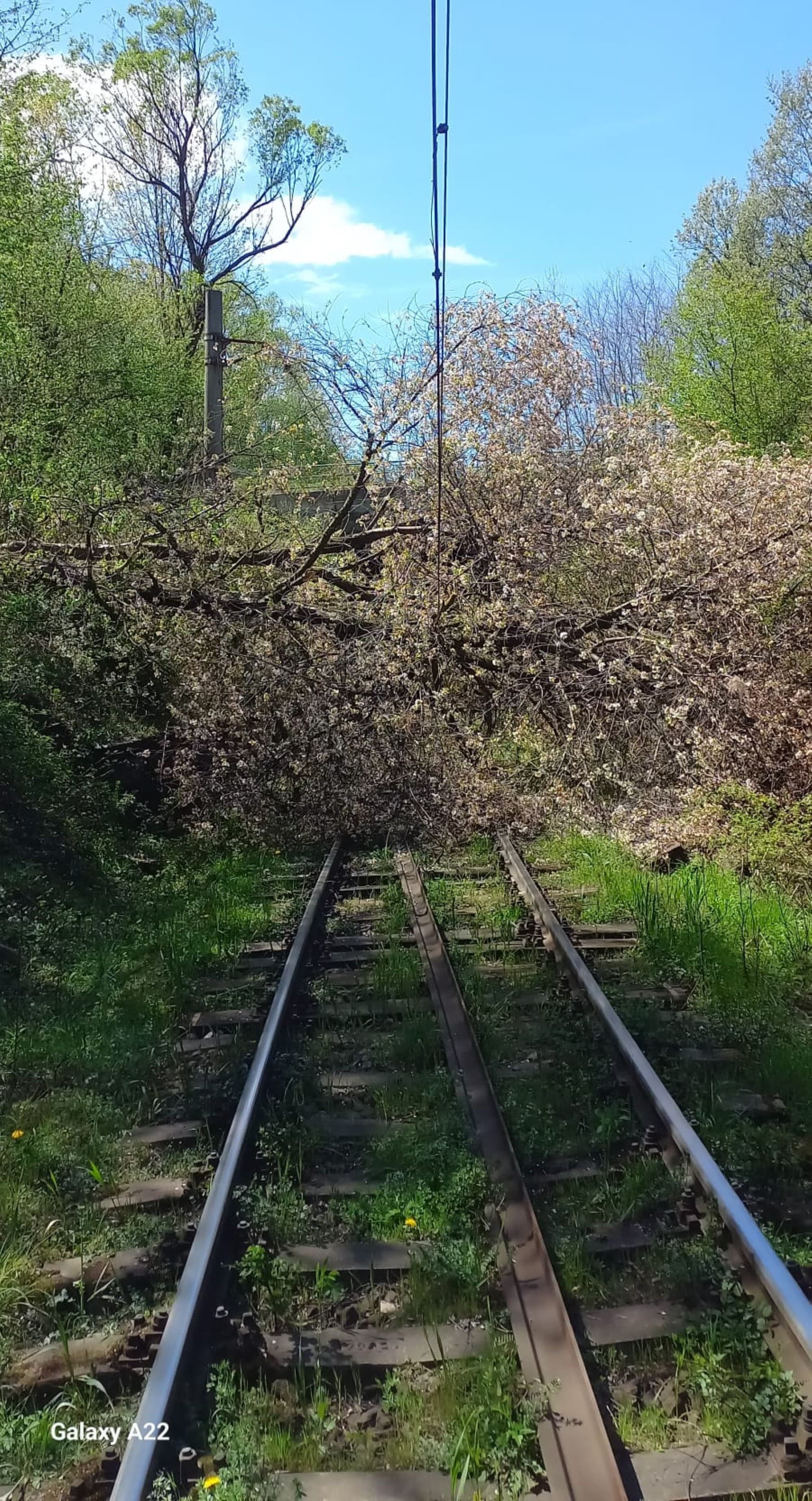 Trafic feroviar oprit temporar între staţiile Merişor şi Crivadia şi Topliţa - Răstoliţa, in judeţul Timiş, din cauza copacilor căzuţi pe linia ferată