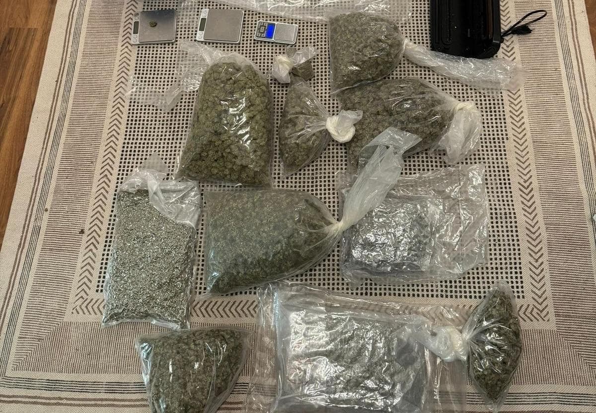 Tânăr româno-sirian, reţinut pentru trafic de droguri/ El a fost prins pe autostrada A2 având în maşină peste 11 kilograme de canabis pe care voia să le vândă pe litoral/ La percheziţii, poliţiştii i-au găsit alte cinci kilograme de canabis