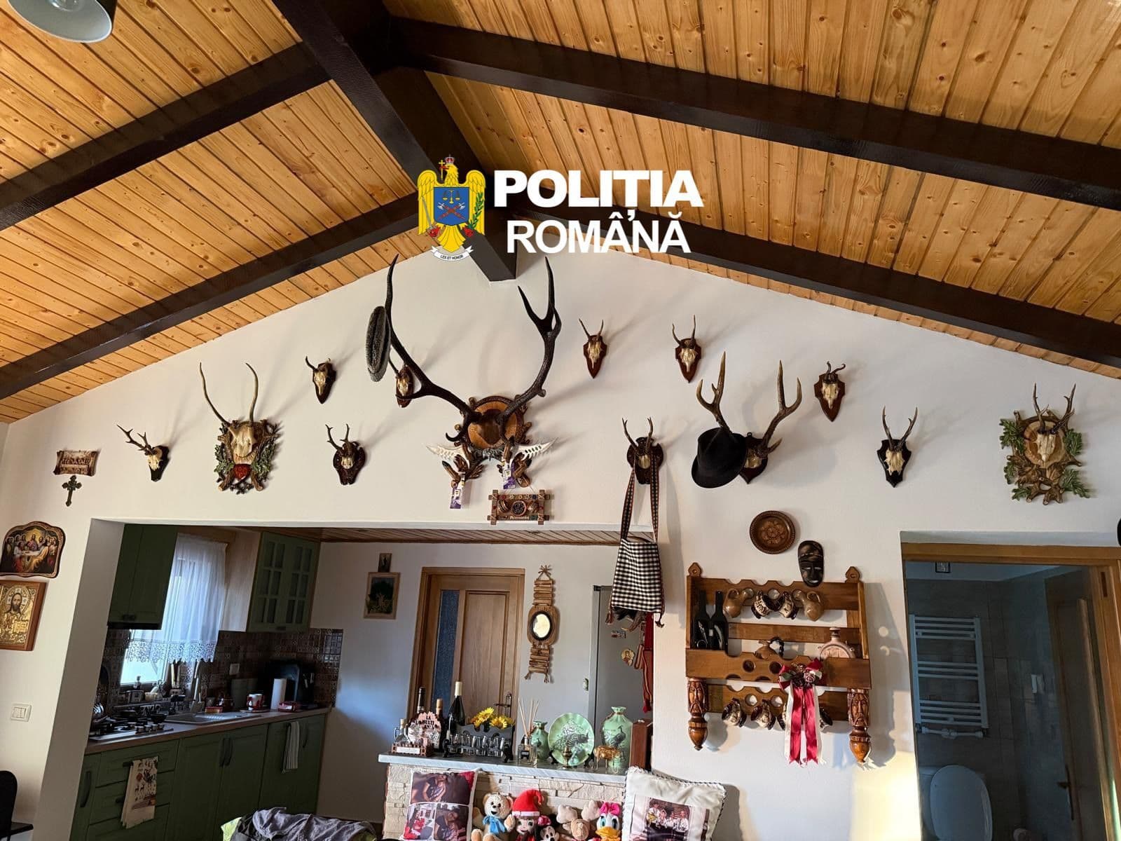 Suceava: 38 de percheziţii într-un dosar de braconaj cinegetic şi nerespectarea regimului armelor / Au fost găsite 11 arme, peste 700 de cartuşe şi trofee de vânătoare / Cinci persoane au fost reţinute în acest caz