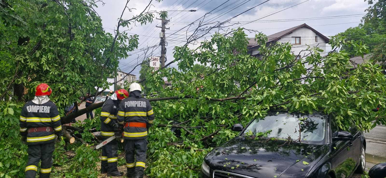 Cod portocaliu de furtuni - Intervenţii ale pompierilor pentru evacuarea apei din curţi şi gospodării / Mai mulţi copaci îndepărtaţi de pe drumuri şi autoturisme – FOTO / VIDEO