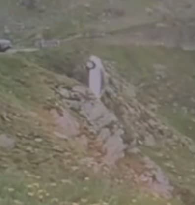 O maşină parcată pe Transfăgărăşan, dar care nu a fost asigurată, a căzut în gol / Momentul, surprins în imagini - VIDEO