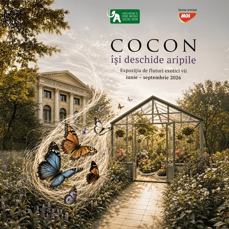 „Cocon”, expoziţia de fluturi exotici vii se mută în sera Muzeului „Antipa”