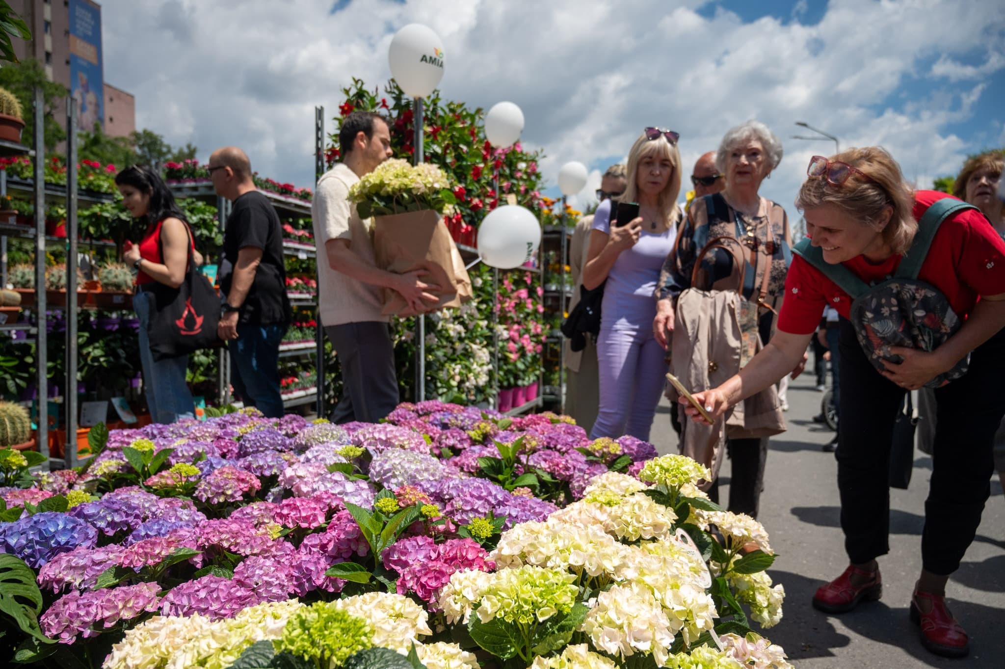 FOTO | PS6 caută vendori pentru West Side Flower Fest. Care este calendarul înscrierilor pentru ediția din 2026 a festivalului florilor din Drumul Taberei