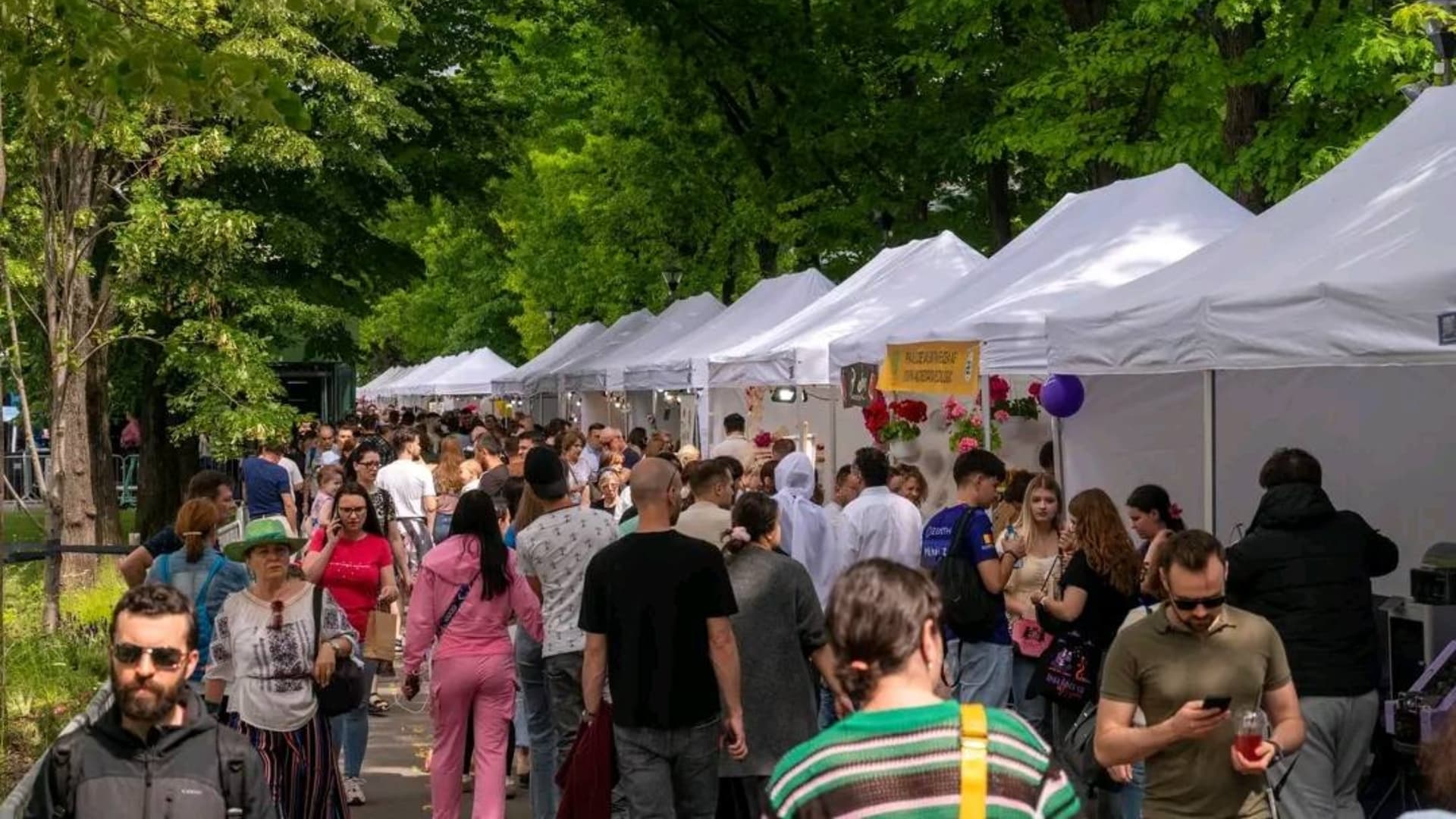 Numărătoare inversă la West Side Flower Fest: mai sunt 6 zile în care comercianții se pot înscrie la Festivalul Florilor din Parcul Drumul Taberei