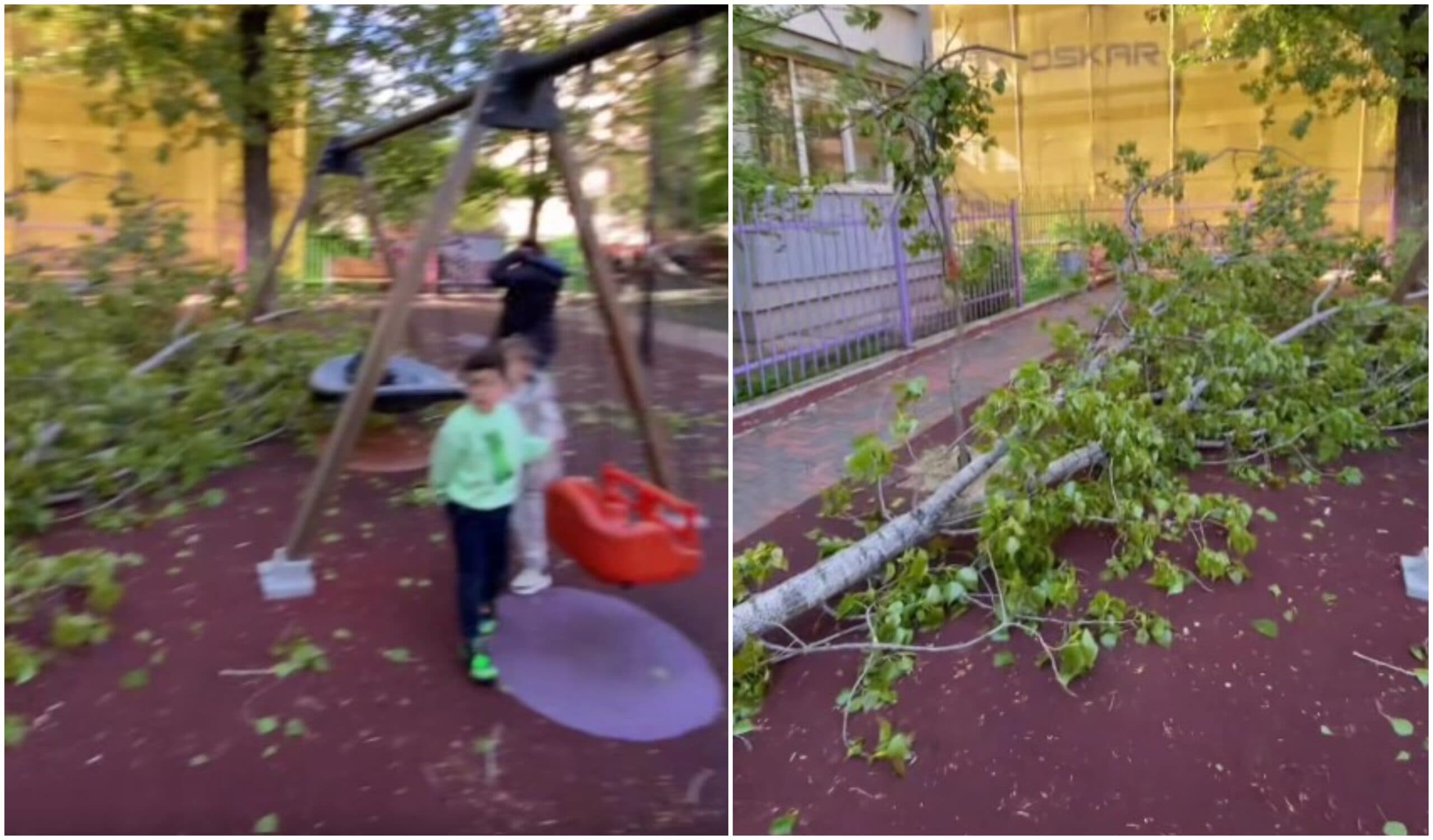 VIDEO | Un copac a căzut într-un parc de joacă din Sectorul 3. „În jurul blocurilor sunt pomi bătrâni care nu sunt toaletați”, se plâng bucureștenii