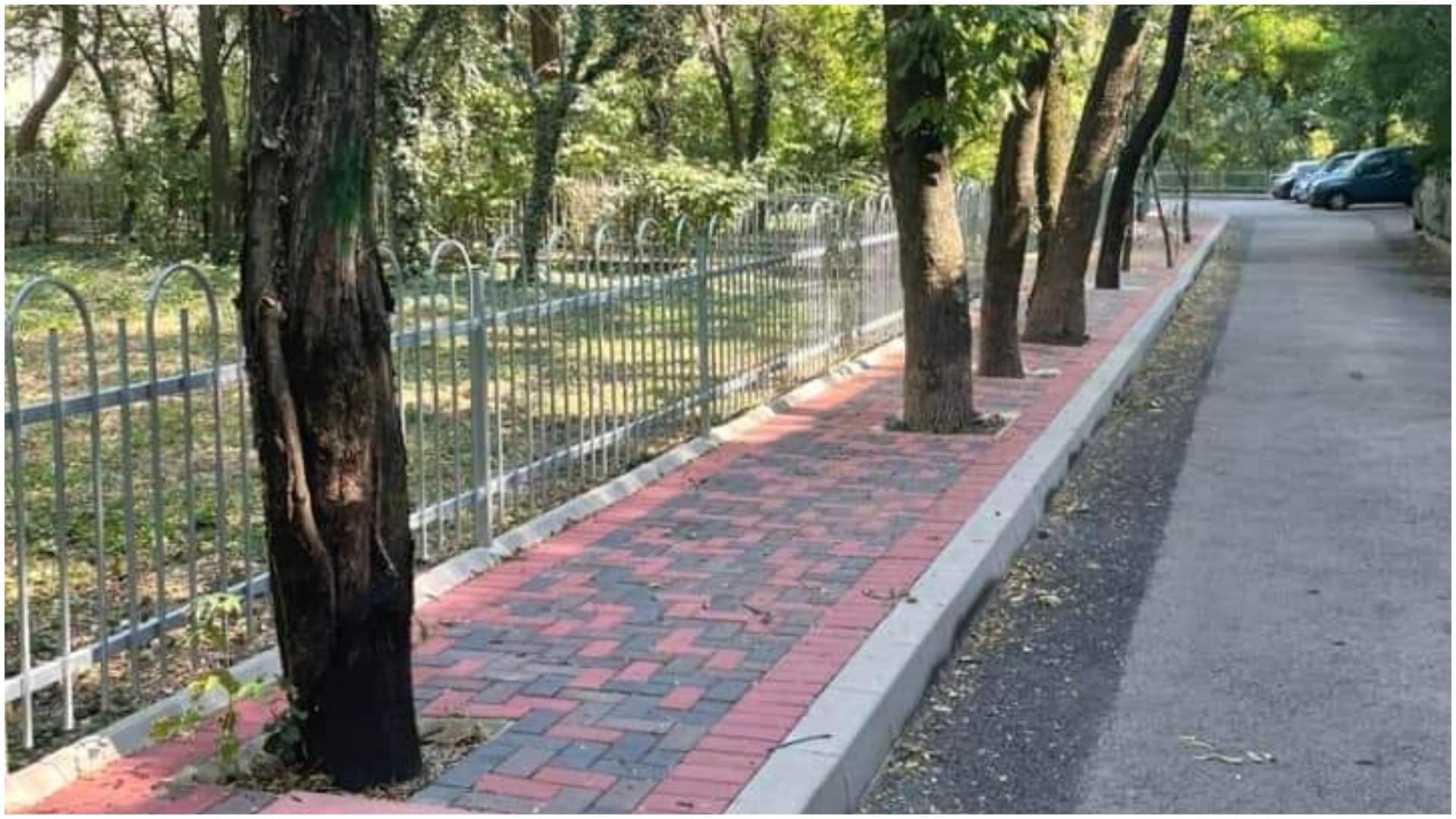 FOTO | Un alt trotuar pentru curse cu obstacole, în sector la dl. Negoiță. „Pietonii trec prin copaci? Mai ceva ca David Copperfield”