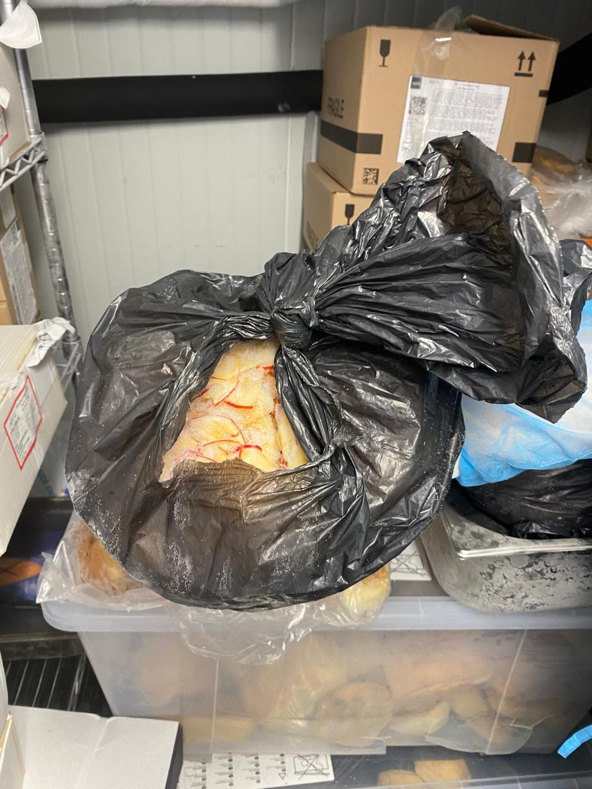 FOTO | Pește expirat și alimente ținute în saci menajeri, la British School of Bucharest. Inspectorii ANSVSA au închis cantina școlii și au dat amenzi
