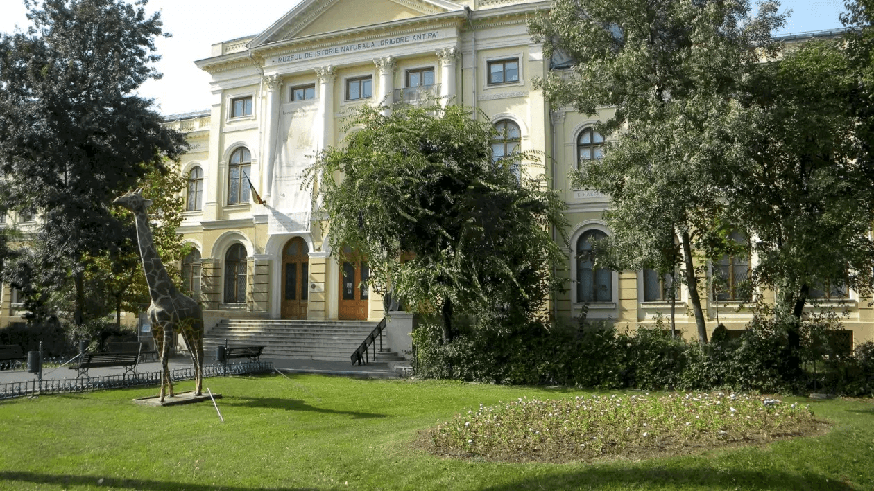Noaptea Muzeelor e și la Muzeul Antipa anul acesta. E cu jazz, povești despre lilieci și studiu de insecte. Bonus: acces gratuit la expoziția permanentă