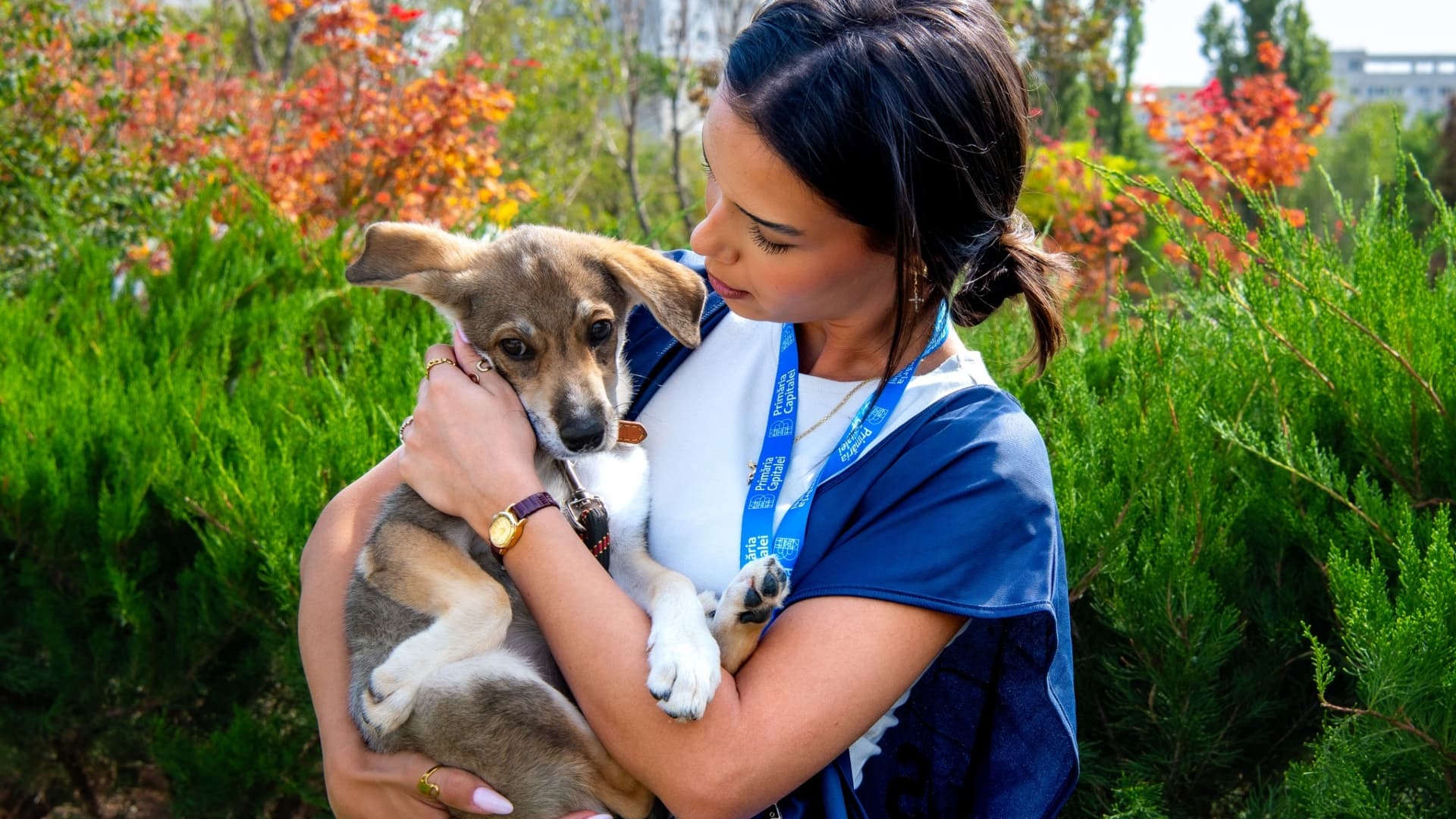 Târg de adopții de căței la Festivalul Prieteniei de la Oratoriul Leonardo Murialdo, în Popești Leordeni. ASPA speră ca toți cățeii să-și găsească aici familii