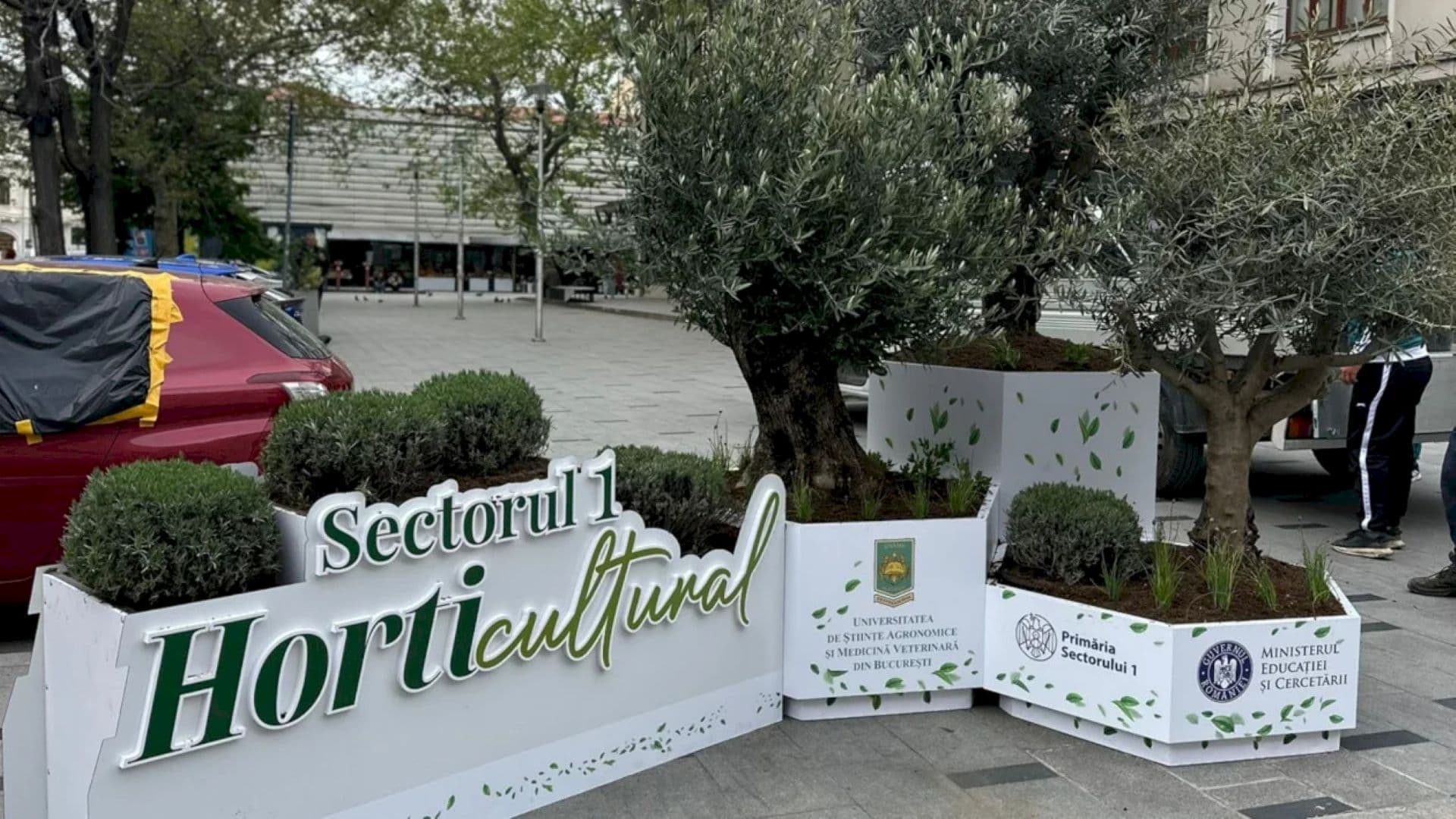 Zilele Horticulturii Bucureștene aduce restricții de circulație și locuri de parcare. Programul complet al evenimentului din acest weekend