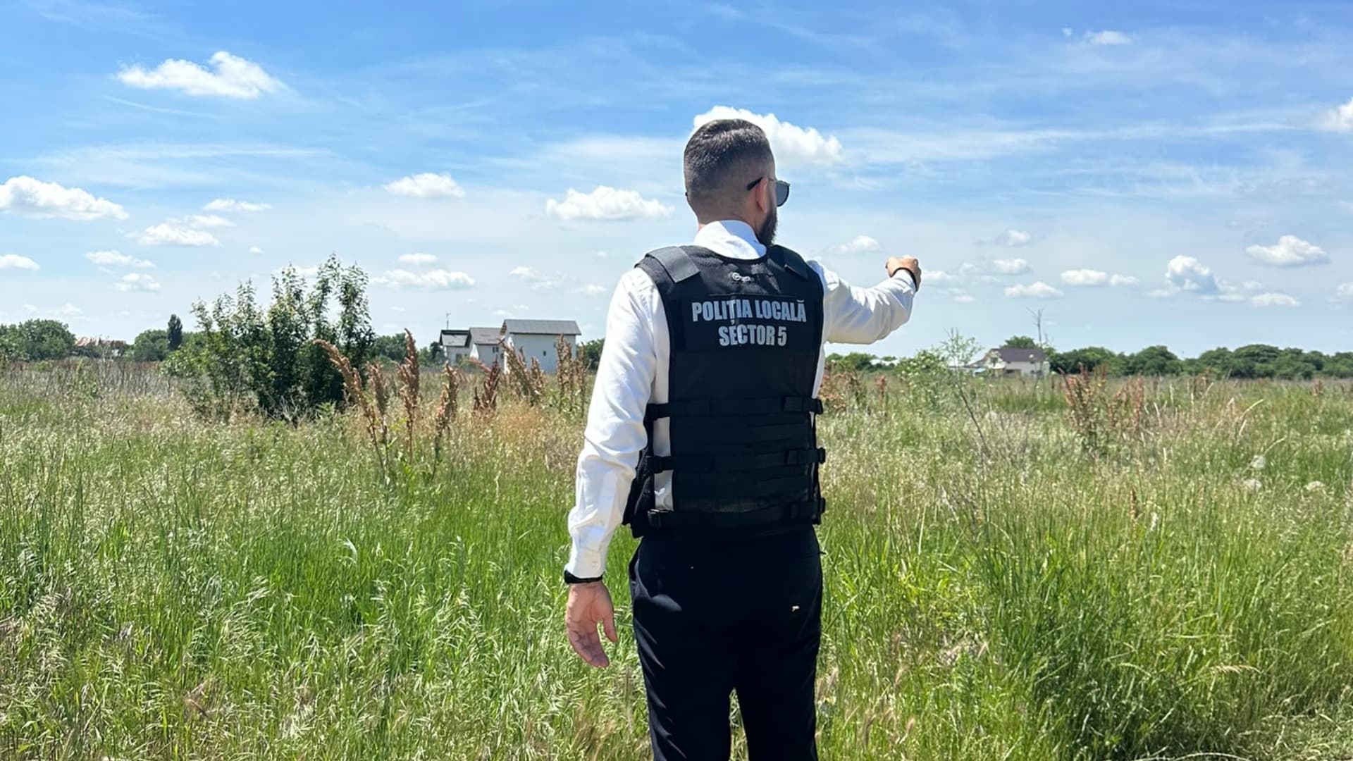 A început campania de combatere a ambroziei în Sectorul 5. Proprietarii de terenuri sunt obligați să elimine planta