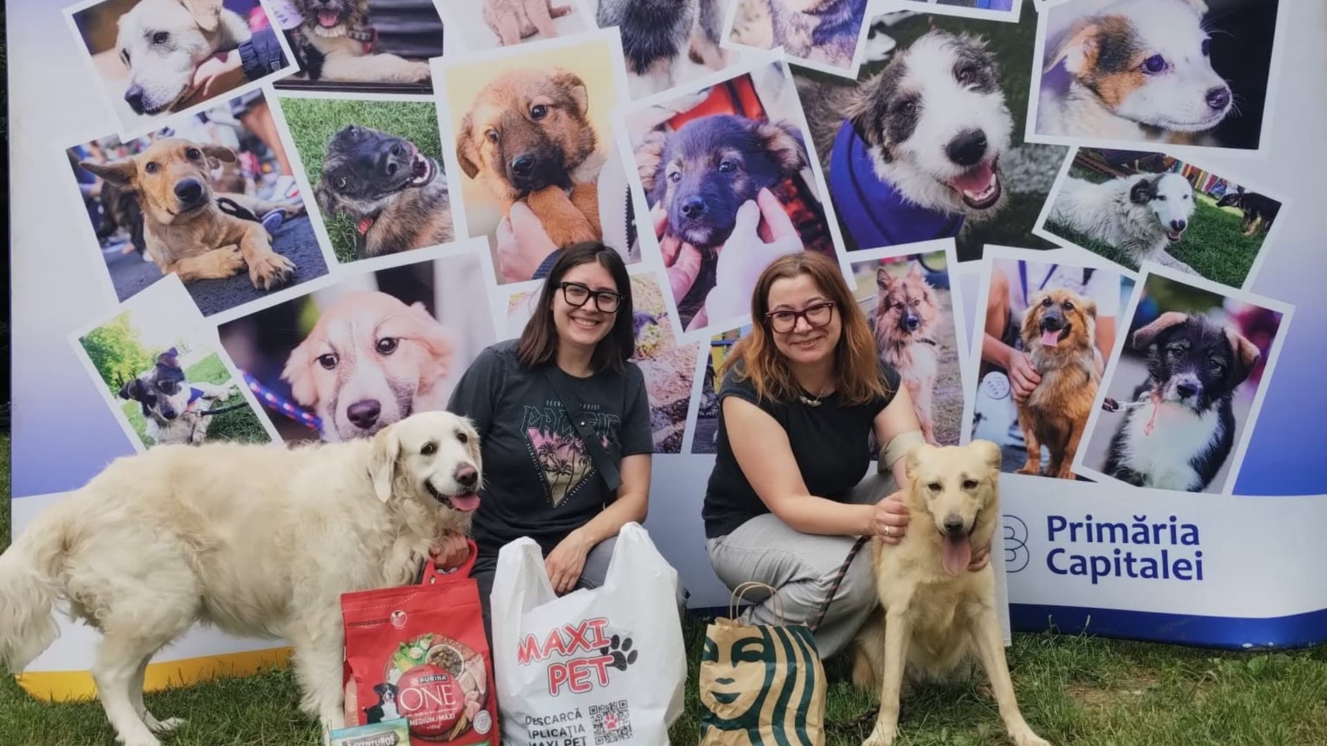 Final fericit pentru opt căței ASPA la Hello Doggie Festival. au fost adoptați 7 cățeluși și unul a fost preluat în foster