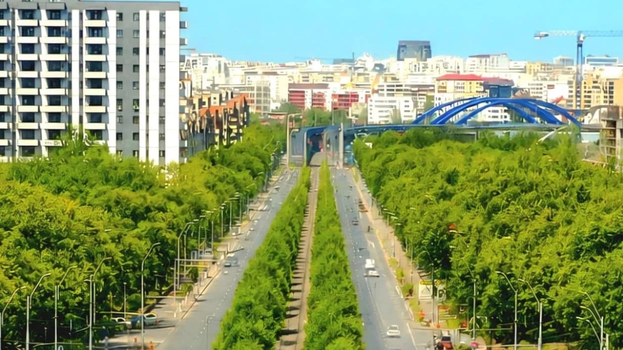 Marea Regenerare a lui Băluță înverzește Calea Văcărești și șterge peste 100 de locuri de parcări plătite, fără să pună nimic în loc: ”M-am trezit fără mașină, deși am plătit”