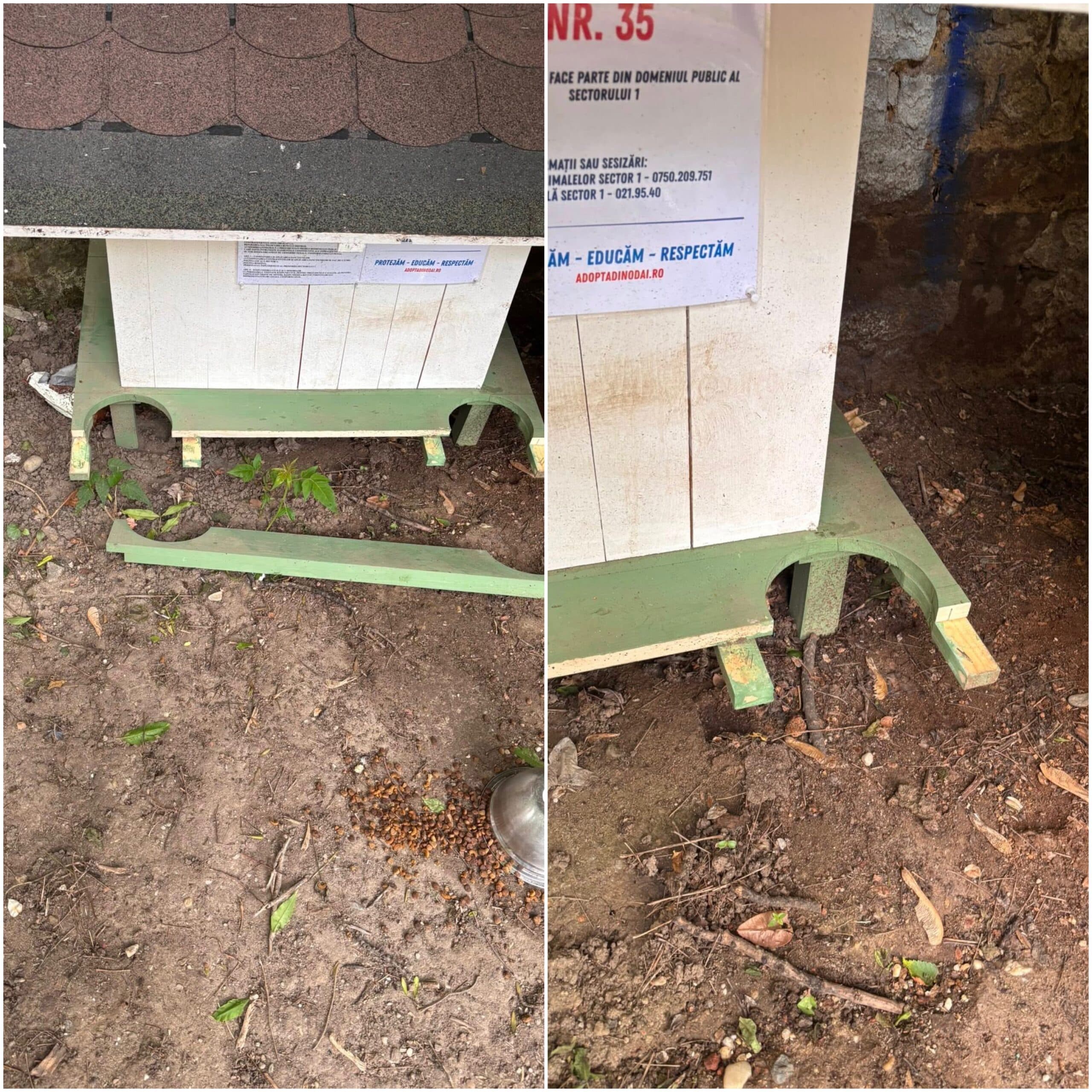 FOTO | Căsuța pentru pisici, vandalizată peste noapte în Parcul Nicolae Iorga din Sectorul 1: ”Nu înțeleg care e rolul paznicilor”