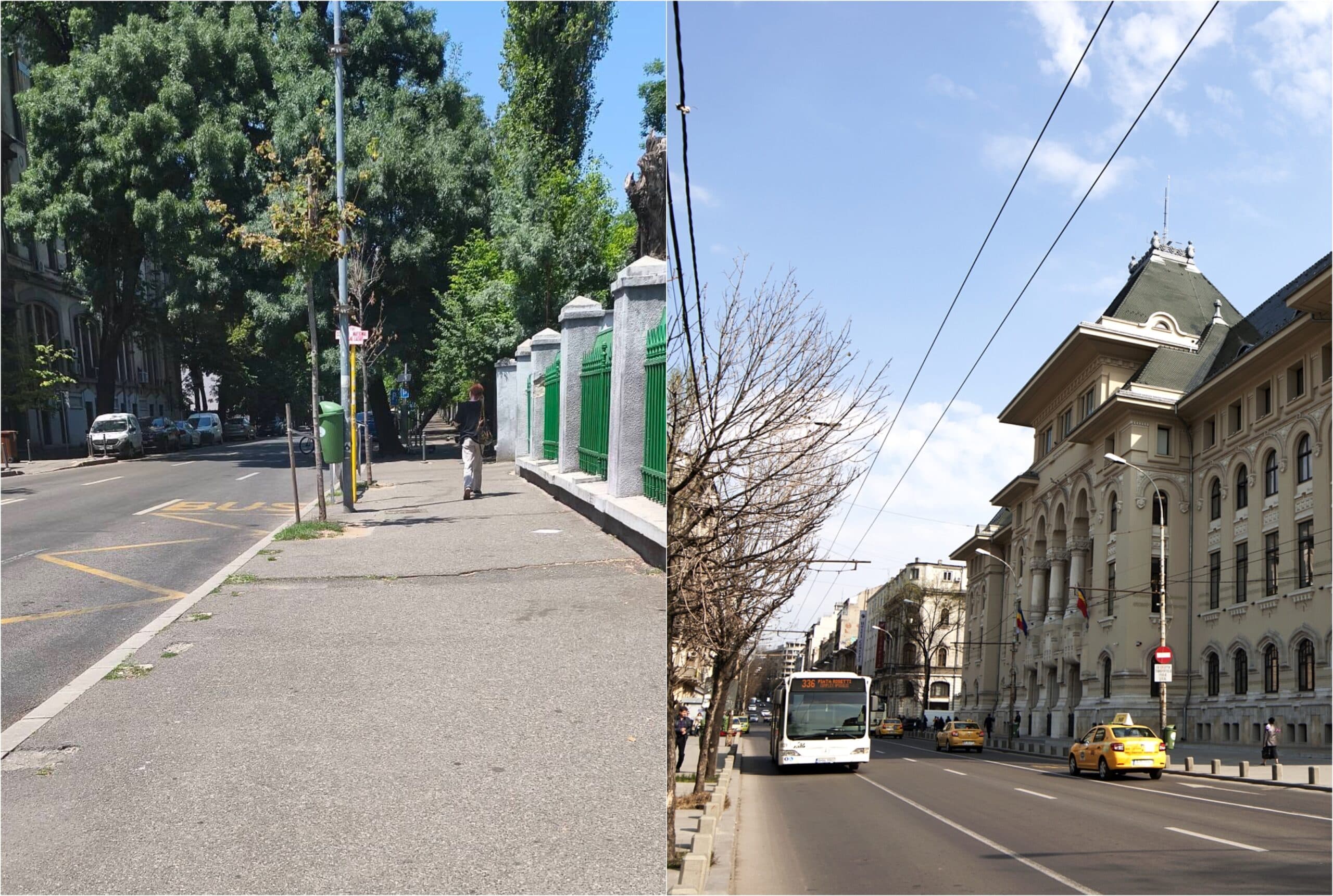 Stația STB fără umbră e peste drum de Liceul Lazăr, la doi pași de PMB. O bucureșteancă se declară gata să facă plajă pe trotuar până vine autobuzul, dacă nu leșină înainte