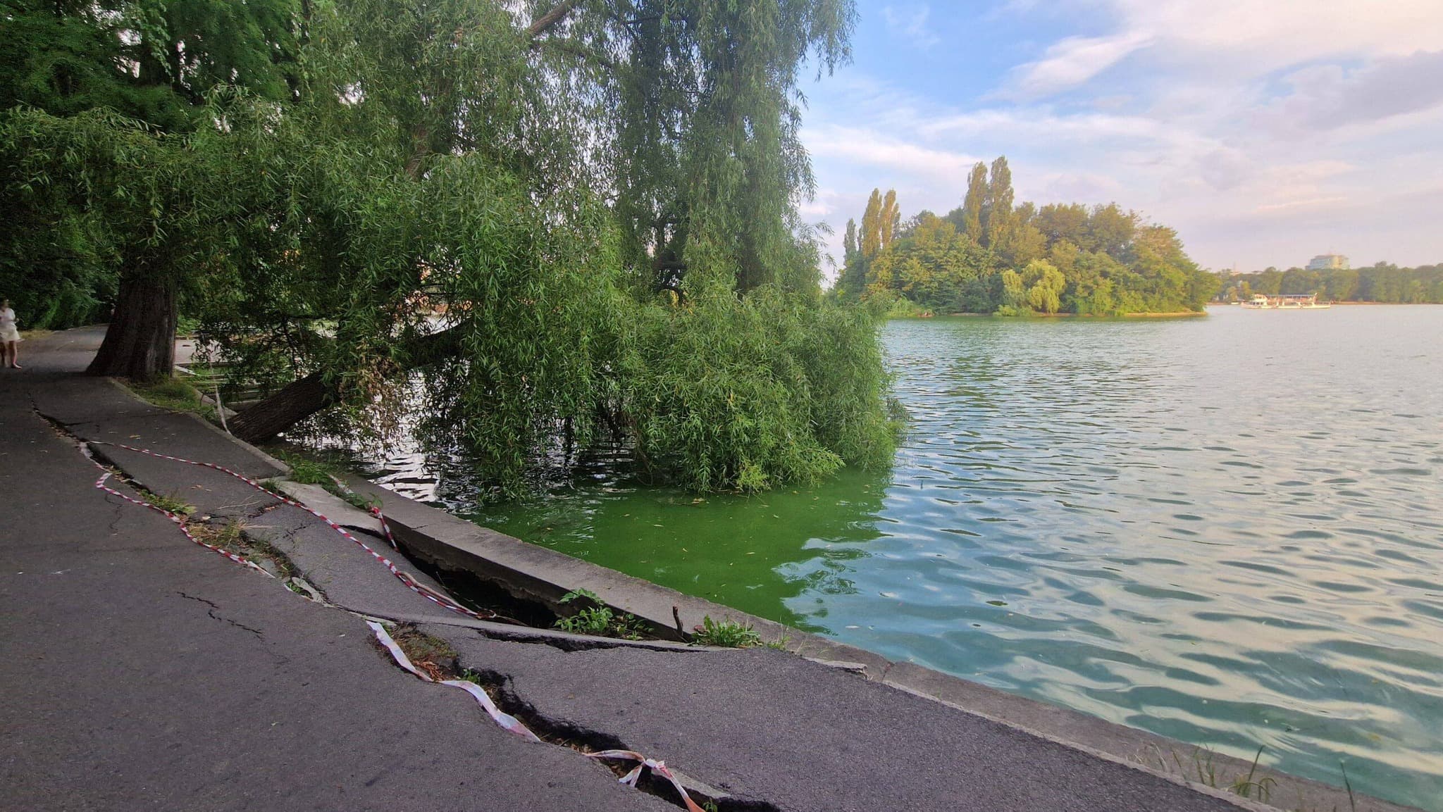FOTO | Se golește lacul din Parcul Herăstrău. Rațele și peștii de aici vor fi mutați. Malurile vor fi reabilitate. „Facem lucrări care să reziste 100 de ani”, a promis Ciucu