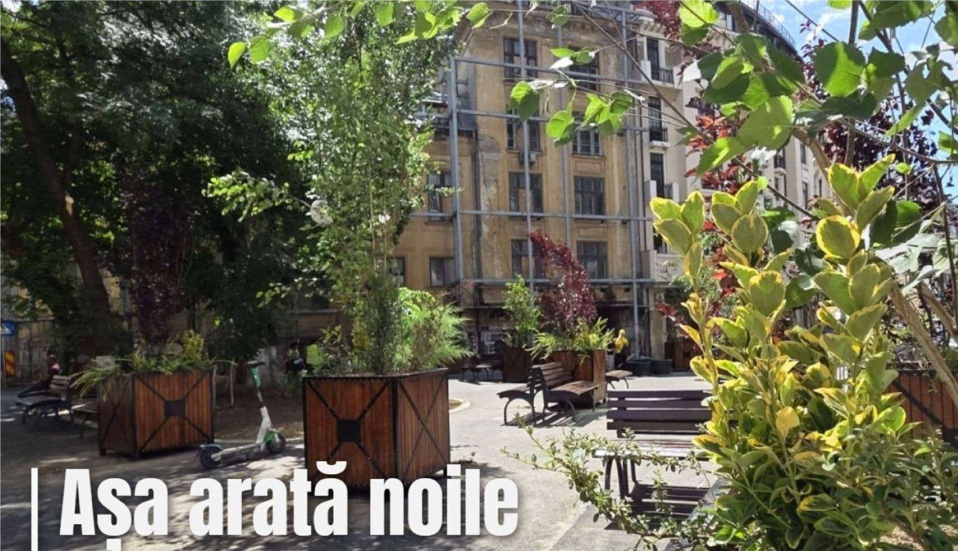 100 de jardiniere cu arbori și arbuști se montează în Sectorul 1. Primele au apărut deja în Piața Ion Rațiu, urmează Calea Griviței și Aleea Privighetorilor