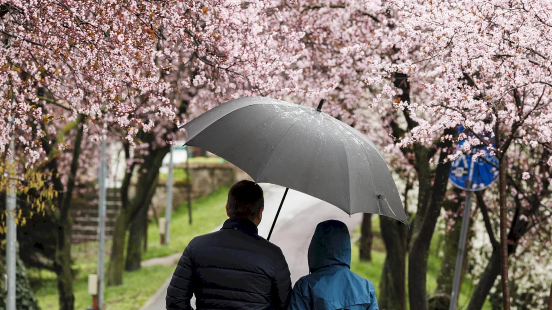 Ploi, vreme instabilă și temperaturi maxime de peste 24 de grade în București, săptămâna aceasta. Prognoza ANM pentru Capitală, în perioada 2-10 iunie