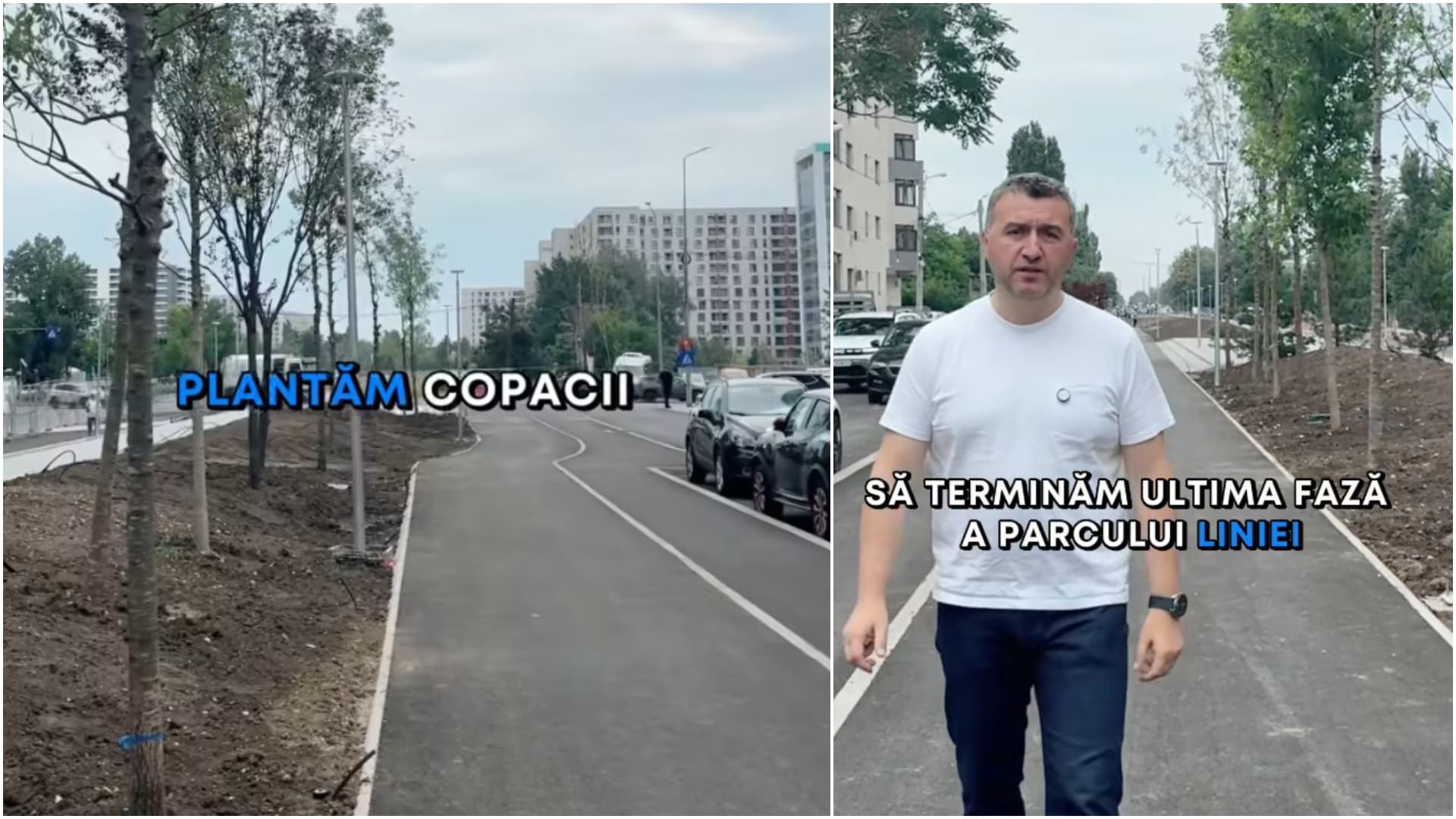 VIDEO | Se plantează copaci în Parcul Liniei – Faza III. Lucrările de aici ar putea fi gata până la finalul anului