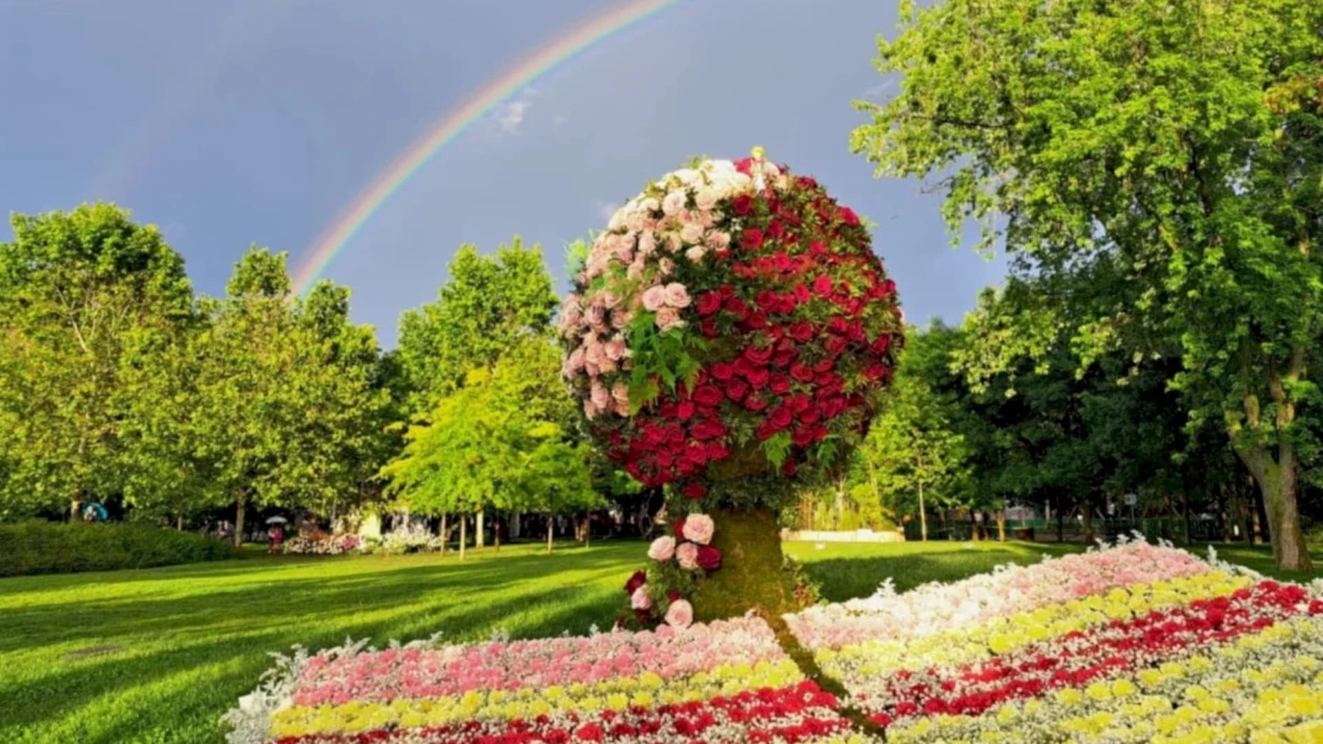 Începe numărătoarea inversă pentru West Side Flower Fest 🌸 Festivalul florilor din Drumul Taberei începe la ora 16. Programul din prima zi