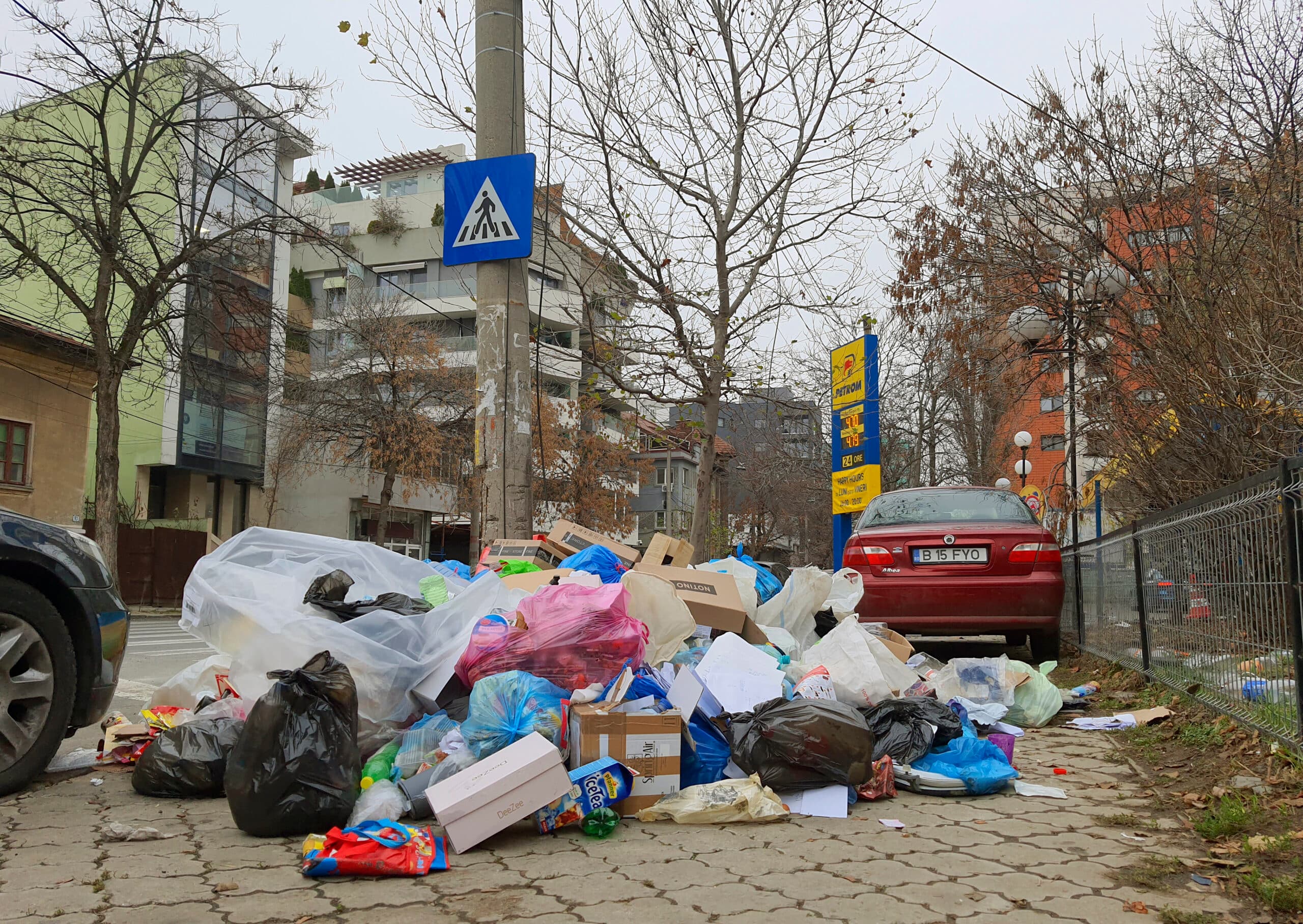 FOTO | Servicii funerare pentru șobolani, neașteptată necesitate în București, în Sectorul 1. Zac răpuși pe străzi și oamenii se întreabă cine i-o lua din drum