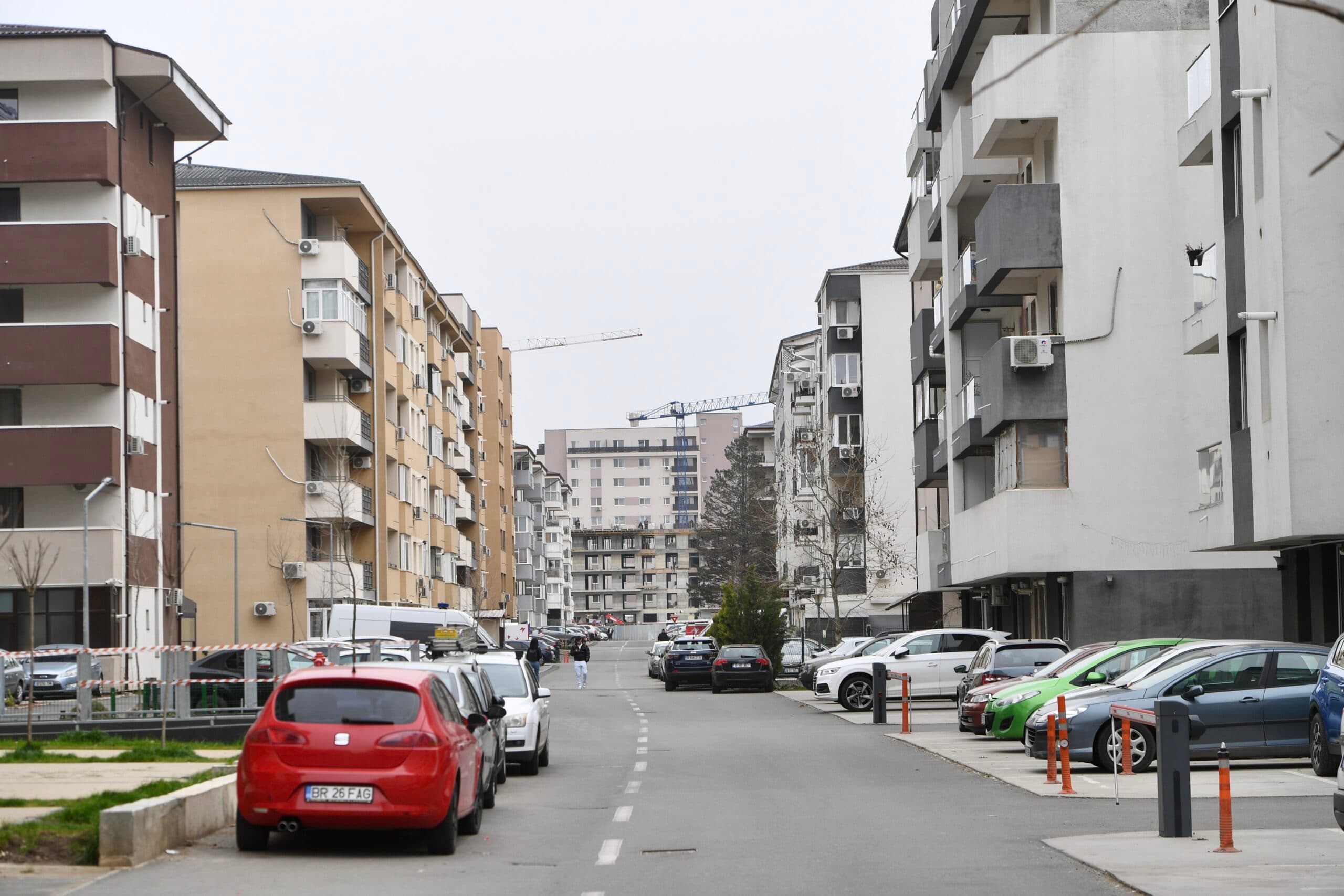 Infestație de ploșnițe în apartamentul unei bucureștence din Sectorul 4. Instituțiile ignoră problema: DSP spune că nu are atribuții, Primăria pasează problema
