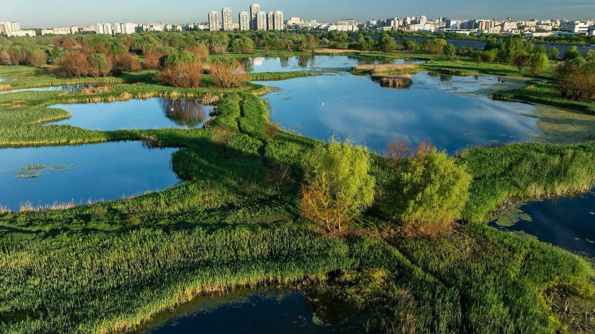 Pas înainte pentru Centura Verde a Capitalei, unde vor fi 250 de hectare de păduri periurbane, zone umede și culoare ecologice. Strategia este în dezbatere publică