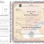 Guvernul amână codurile QR pe diplomele de Bacalaureat și certificatele de competențe până în anul școlar 2026-2027. Lista completă a actelor vizate – proiect