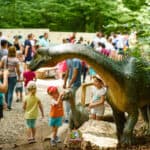 Transformă lecțiile în experiențe: excursie cu clasa la Dino Parc Râșnov, destinație pentru Școala Altfel și Săptămâna verde / Olimpiada Dinozaurilor, cinema 9D, traseu de aventură și Laser labirint – activități gratuite pentru elevi (P)