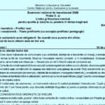 Limba română, simulare Bac 2026. Subiectele și baremele de notare pentru școlile cu predare în limba maghiară au fost publicate de Ministerul Educației