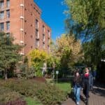 Zilele Studenţilor Timişoarei 2026: trei zile de muzică, activități sportive şi experienţe între generaţii, cu Traian Băsescu invitat special la Young Hub