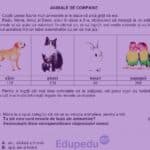 Subiectele de la Evaluarea Națională de clasa a II-a 2026 – Matematică și Explorarea mediului. „Care animal se înmulțește prin ouă?”, întrebare primită la testare / Cele 18 cerințe pe care le-au avut de rezolvat elevii în 45 de minute