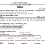 Diferențe între subiectul de Psihologie în română și cel tradus în limba maghiară la Bacalaureat 2026: trei variante de răspuns au fost înlocuite cu alți termeni