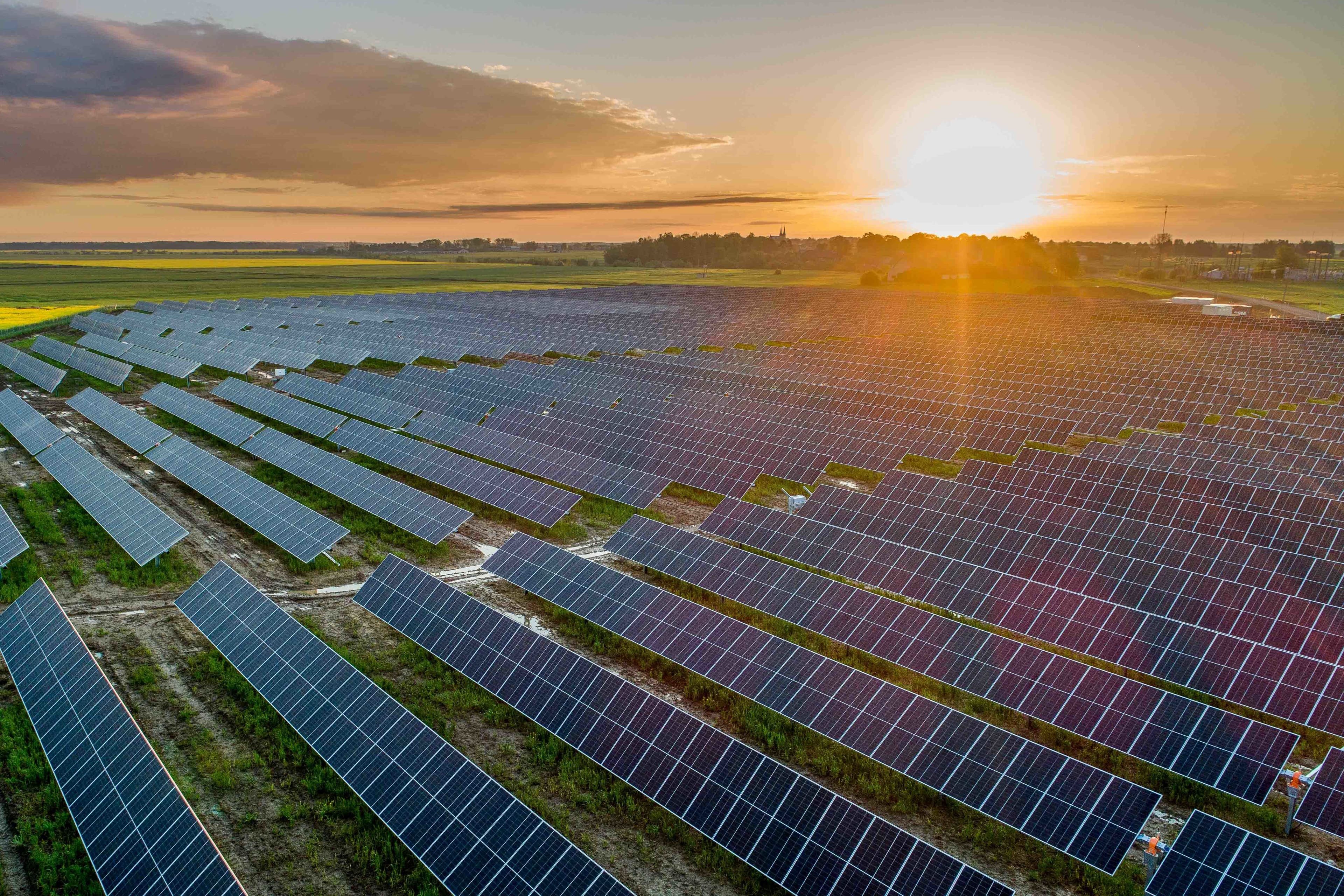 FOTO România, cel mai mare parc fotovoltaic din Europa: Dezvoltatorul vrea finanțare și de la Banca Mondială. Când încep lucrările