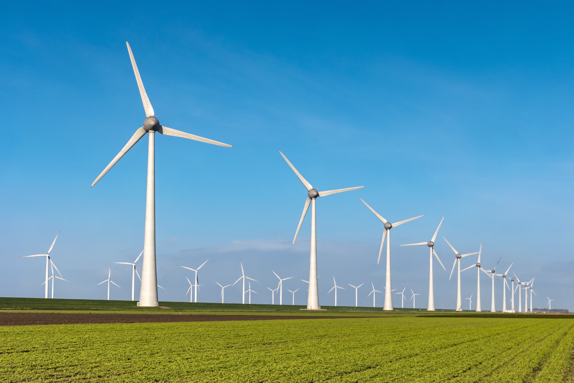 Investiție în România cu credit de peste 100 milioane euro. Parc eolian de 78 MW cu subvenții de stat CfD, gata de construire în Brăila