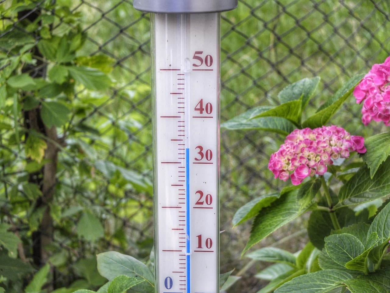 Alertă meteo în România. Putem ajunge la 45 grade resimțite, anunță șefa ANM