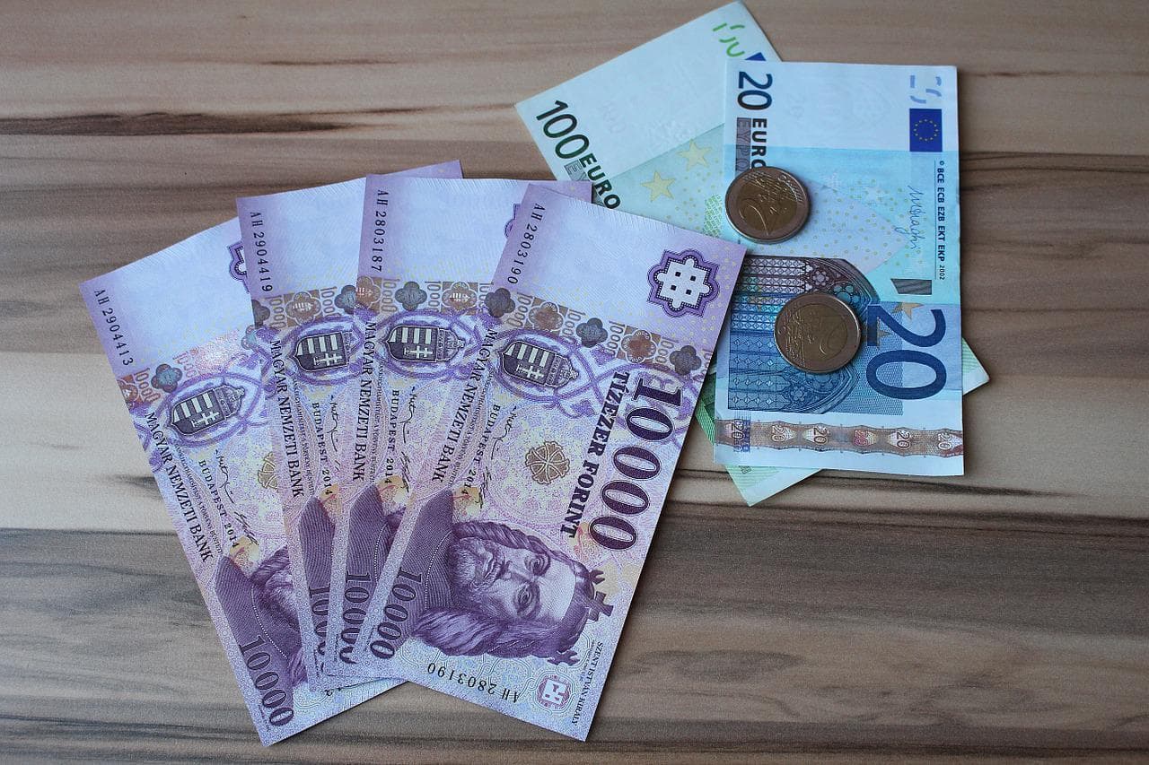 Forintul a urcat la maximul ultimilor patru ani după înfrângerea în alegeri a lui Viktor Orban