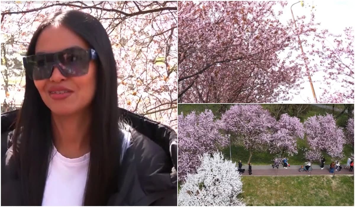 Reacţia unei turiste din Thailanda, care vede pentru prima dată "tunelul iubirii" din Timişoara