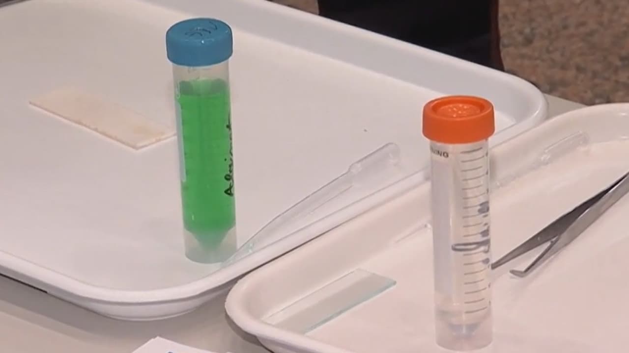 Cum arată medicina viitorului: pastile inteligente și organe printate 3D care pot salva vieți