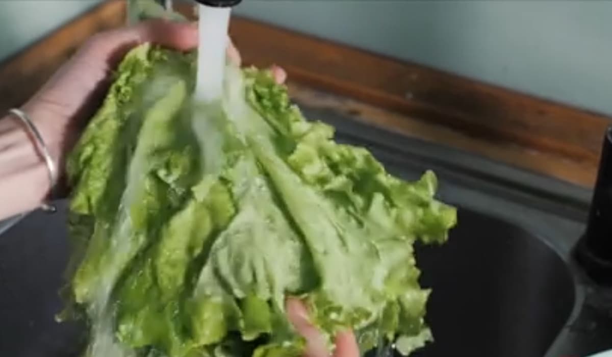 Ce trebuie să știm despre Listeria, bacteria care rezistă la frig. Poate fi fatală pentru anumite persoane