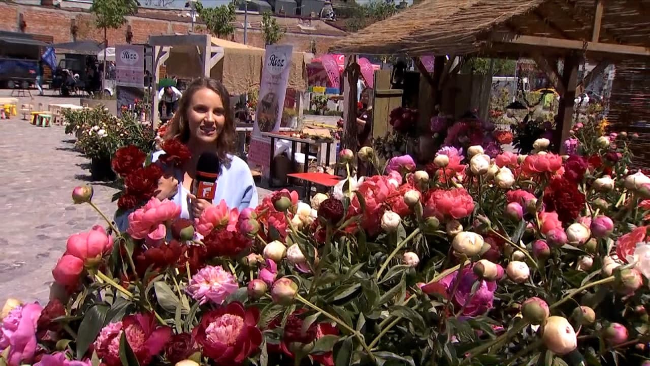 Ziua Bujorului, sărbătorită cu decor de epocă în Bucureşti. Zeci de mii de flori au colorat străzile oraşului