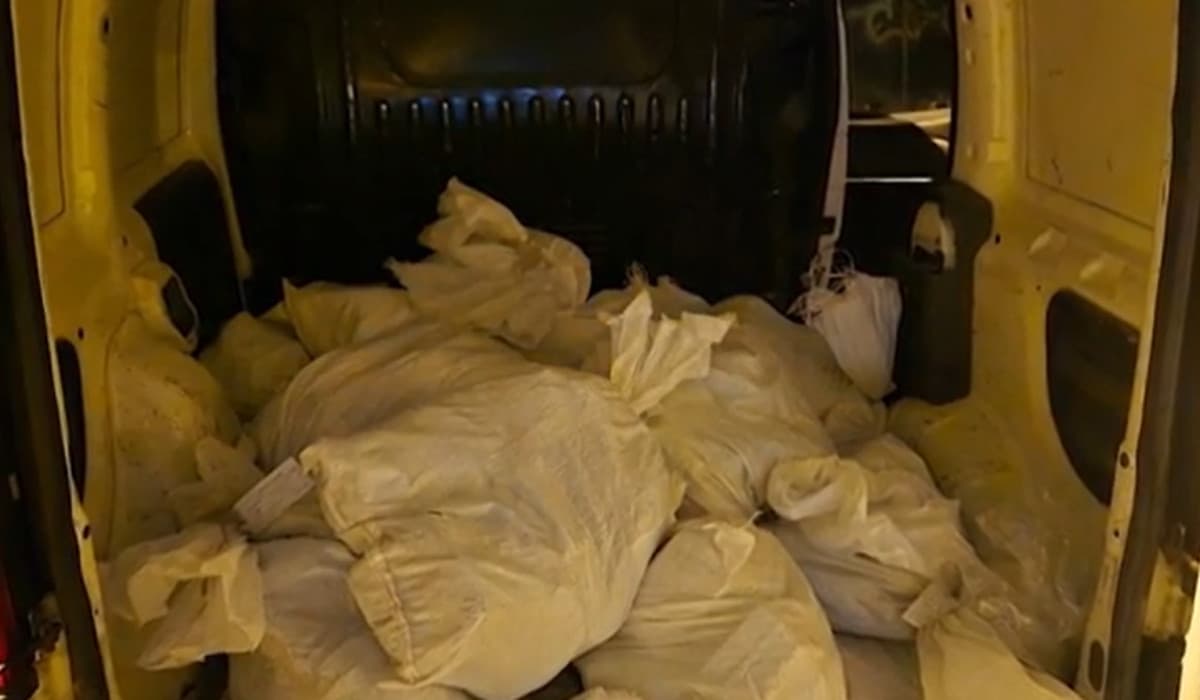 O angajată a Poştei, reţinută după jaful istoric de la Timişoara. Ar fi fost "omul din interior"
