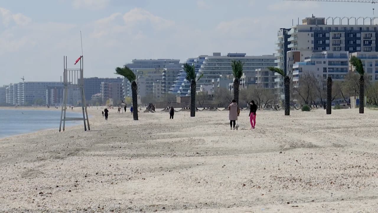 Stațiunile de pe litoral care vor avea perdele verzi pentru umbră și răcoare. Peste 200 de copaci plantaţi