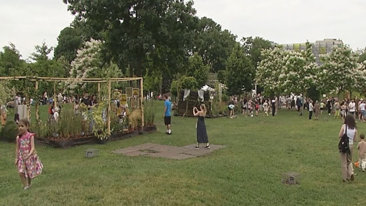 Peste 100.000 de flori au transformat Parcul Drumul Taberei într-o uriaşă expoziţie în aer liber