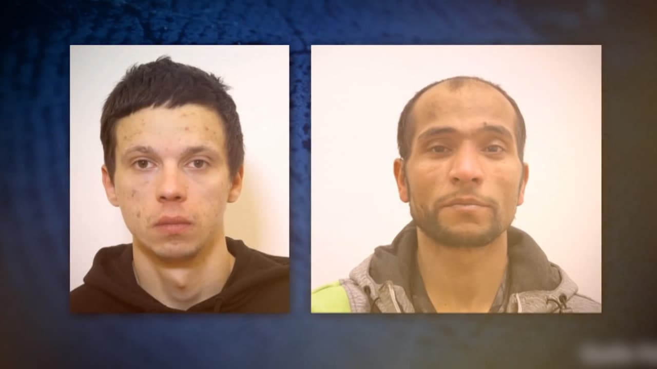 Româncele moarte în Germania şi-ar fi pierdut viaţa din cauza hoţilor de fier vechi. Doi suspecţi căutaţi