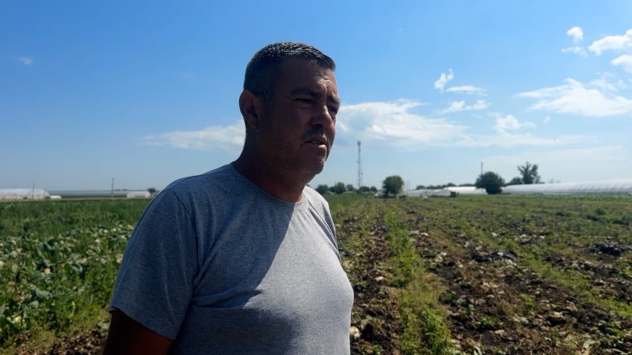 Leguma care a ajuns simbolul risipei în România. Fermierii o aruncă pe câmp, magazinele vând din import